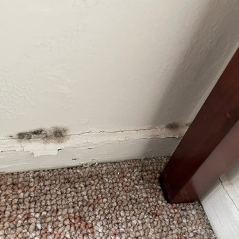 Heritage Realty - Black mold growth because there is no ventilation - Property Management Near Me - San Mateo, California Heritage Realty - Black mold growth because there is no ventilation - Property Management Near Me - San Mateo, California