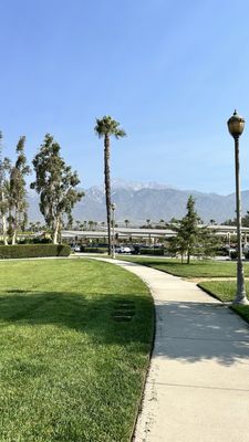 Central Park by null