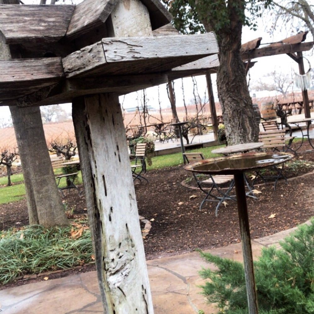 Castoro Cellars - Wineries Near Me - Templeton, California Castoro Cellars - Wineries Near Me - Templeton, California