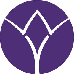 Willow Yoga Studio - Willow Yoga Logo