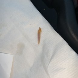 ows a piece of paper on the seat of a car