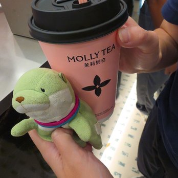 Molly Tea - Premium Jasmine Tea - Bubble Tea Near Me - Santa Clara, California Molly Tea - Premium Jasmine Tea - Bubble Tea Near Me - Santa Clara, California