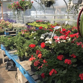 Dutchland Foods - Hanging baskets - Delis Near Me - Marion, New York Dutchland Foods - Hanging baskets - Delis Near Me - Marion, New York