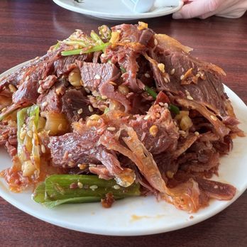 New Mandarin Noodle Deli - Marinade beef and tendon - Chinese Near Me - Temple City, California