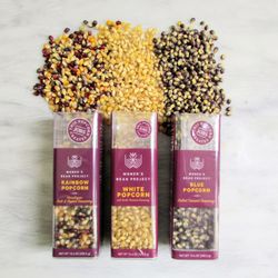 Women's Bean Project