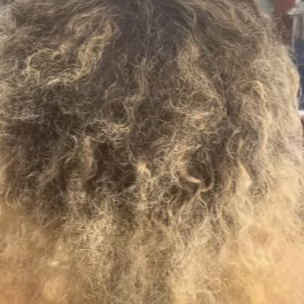 Gugush Hair Studio - Before - Hair Salons Near Me - New York, New York Gugush Hair Studio - Before - Hair Salons Near Me - New York, New York