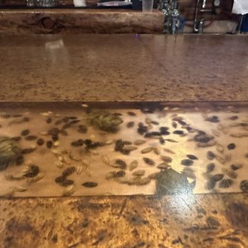 Wind River Brewing - Their bar counter is very unappealing - Burgers Near Me - Pinedale, Wyoming Wind River Brewing - Their bar counter is very unappealing - Burgers Near Me - Pinedale, Wyoming
