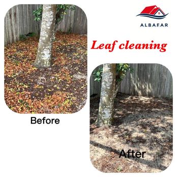 Albafar - before and after photos of leafcleaning - Tree Services Near Me Albafar - before and after photos of leafcleaning - Tree Services Near Me