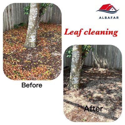 Clean-up Services - Our client's satisfaction is our top priority. Clean-up Services - Our client's satisfaction is our top priority.