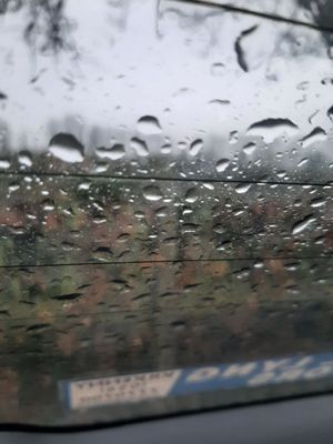 Dunmore Cave by null