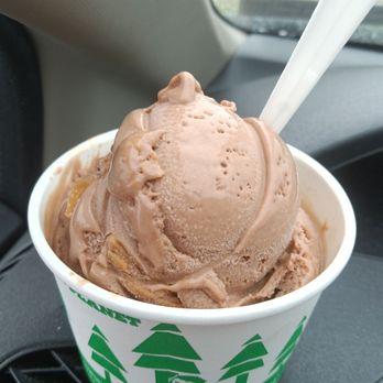 The Inside Scoop - Vegan chocolate peanut butter ice cream - Ice Cream & Frozen Yogurt Near Me - Coopersburg, Pennsylvania