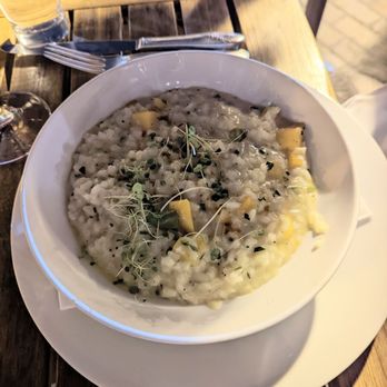 Cantinetta Bellevue - Dish with pumpkin and small pasta - Italian Near Me - Bellevue, Washington