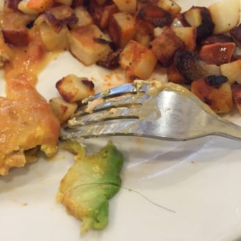 First Watch - Luckily I found this on my second bite and not after finishing the whole thing. - Breakfast & Brunch Near Me - Charleston, West Virginia First Watch - Luckily I found this on my second bite and not after finishing the whole thing. - Breakfast & Brunch Near Me - Charleston, West Virginia