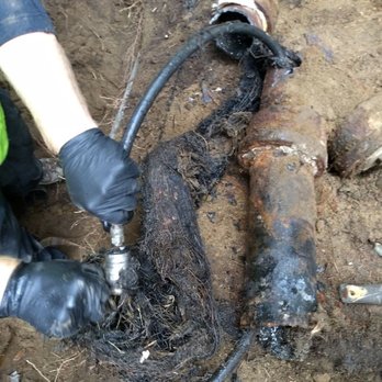 The Pipe Doctor - Massive root intrusion 100% blockage. - Plumbing Near Me - Seattle, Washington The Pipe Doctor - Massive root intrusion 100% blockage. - Plumbing Near Me - Seattle, Washington