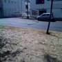 Photo of Internet Wilfrido Massieu