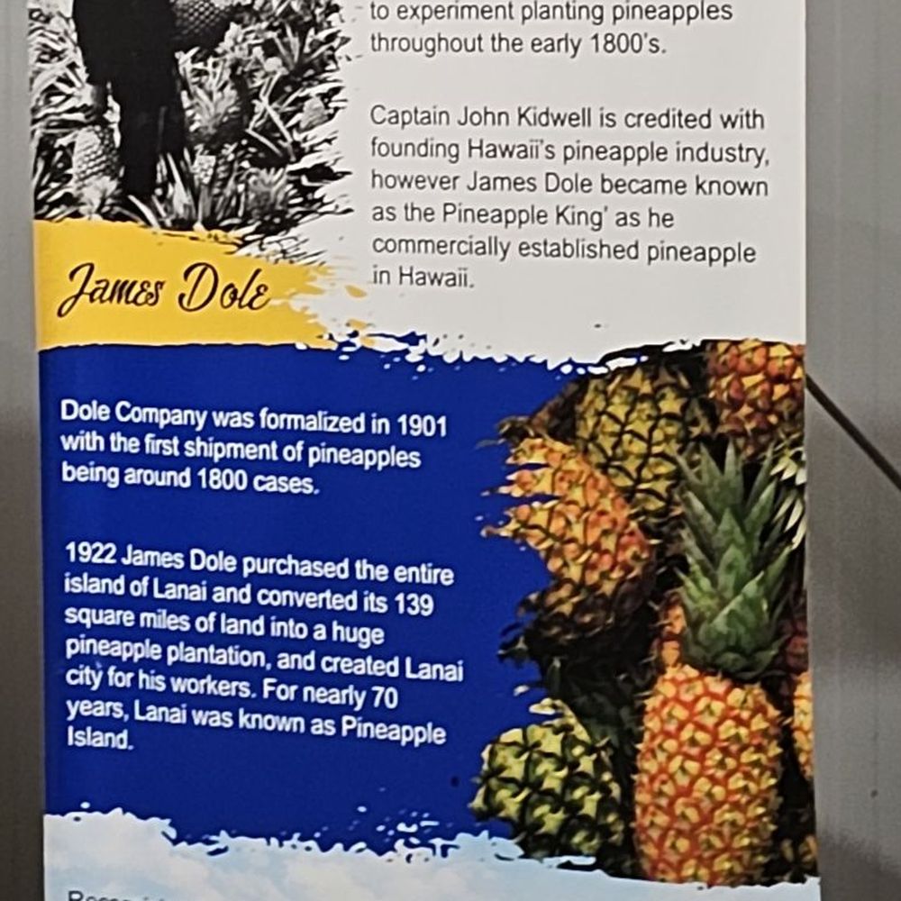 Go Tours Hawaii - Dole plantation - Bus Tours Near Me - Honolulu, Hawaii
