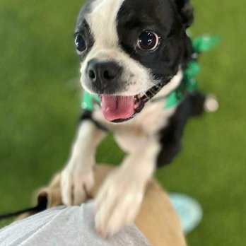 West Delray Veterinary - Veterinarians Near Me - Delray Beach, Florida West Delray Veterinary - Veterinarians Near Me - Delray Beach, Florida
