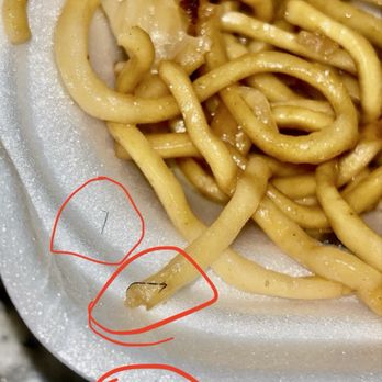 Panda Express - Bristles / hair - Chinese Near Me - San Tan Valley, Arizona Panda Express - Bristles / hair - Chinese Near Me - San Tan Valley, Arizona