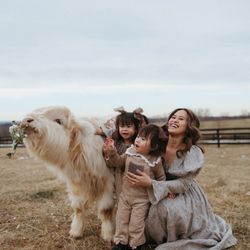 Genevieve Elaine Photography - Highland cows & family photography