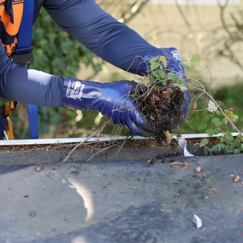 Ned Stevens Gutter Cleaning - Technician removing built-up debris during gutter cleaning service - Gutter Services Near Me - Broomall, Pennsylvania Ned Stevens Gutter Cleaning - Technician removing built-up debris during gutter cleaning service - Gutter Services Near Me - Broomall, Pennsylvania