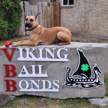 Viking Bail Bonds - Our office Dog, Dave. - Bail Bondsmen Near Me - Twin Falls, Idaho Viking Bail Bonds - Our office Dog, Dave. - Bail Bondsmen Near Me - Twin Falls, Idaho