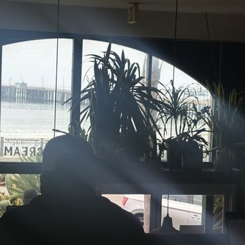 Kraken Coffee - Big Plants over doorway - Coffee & Tea Near Me - Avila Beach, California