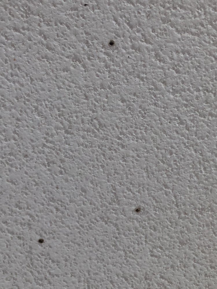 PALM CLUB APARTMENT HOMES Updated July 2024 48 Photos 111 S Palm