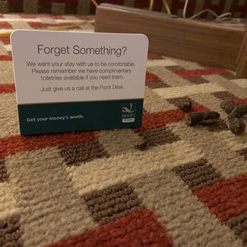 Quality Inn & Suites - Dog feces. - Hotels Near Me - Marion, Illinois