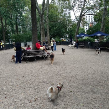 Madison Square Park Conservancy - Madison Square Park dog run - Dog Parks Near Me - New York, New York Madison Square Park Conservancy - Madison Square Park dog run - Dog Parks Near Me - New York, New York