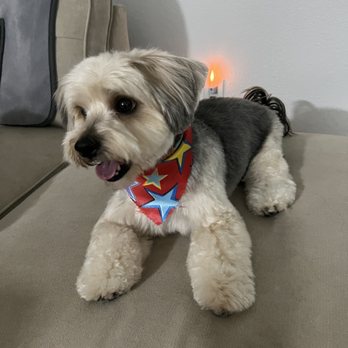 Lugari Pet Salon - Pet Groomers Near Me - Scottsdale, Arizona Lugari Pet Salon - Pet Groomers Near Me - Scottsdale, Arizona