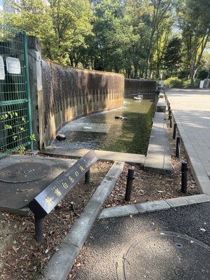 Shinjuku Chuo Park by null
