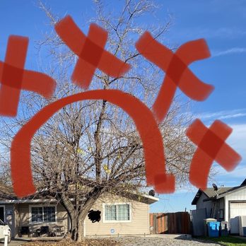 Brother Cisco Tree Service - Before-front yard - Tree Services Near Me Brother Cisco Tree Service - Before-front yard - Tree Services Near Me