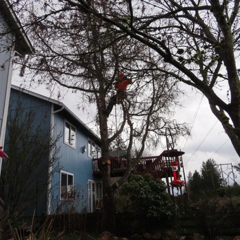 Mike's Affordable Tree Service - Tree Services Near Me - Lake Stevens, Washington Mike's Affordable Tree Service - Tree Services Near Me - Lake Stevens, Washington