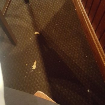 Cheddar's Scratch Kitchen - the food on the floor from people before us - Comfort Food Near Me - Newport News, Virginia Cheddar's Scratch Kitchen - the food on the floor from people before us - Comfort Food Near Me - Newport News, Virginia