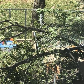 Rick's Tree Service - Damage caused by limbs that have been moved/fallen - Tree Services Near Me - Cincinnati, Ohio