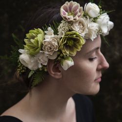 Terra Bella Flowers