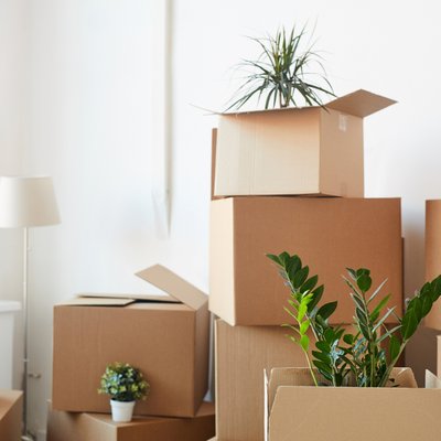 Move In & Move Out Cleaning - Move-in/move-out cleaning is a service designed to thoroughly clean homes after tenants or owners have vacated the space. This type of deep cleaning targets removal of dust, dirt, and other residue left behind. Move In & Move Out Cleaning - Move-in/move-out cleaning is a service designed to thoroughly clean homes after tenants or owners have vacated the space. This type of deep cleaning targets removal of dust, dirt, and other residue left behind.