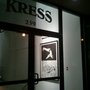 Kress Lofts