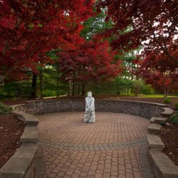 The Esquiline - We are just a walk away from all the beautiful architecture on the National Shrine of Our Lady of the Snows.