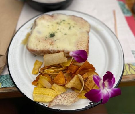 Bulegreen Cafe Yard by null