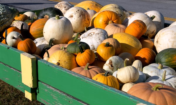 Hanson's Farm by null