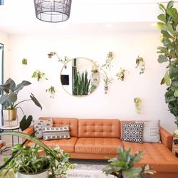 Welcome to our lounge