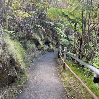 Thurston Lava Tube - Walkway down - Parks Near Me Thurston Lava Tube - Walkway down - Parks Near Me
