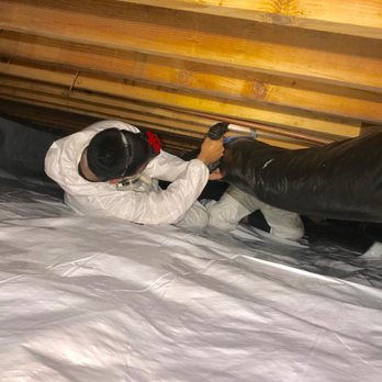 Pest Control Berkeley - Installing vapor barrier - Wildlife Control Near Me Pest Control Berkeley - Installing vapor barrier - Wildlife Control Near Me