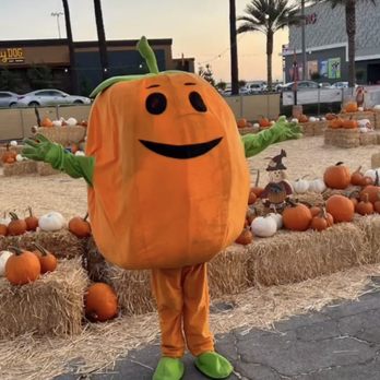 I E Holiday Events - Pumpkin Patches Near Me - Montclair, California I E Holiday Events - Pumpkin Patches Near Me - Montclair, California