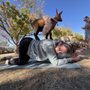 Photo of GOT Yoga Goats of Tucson