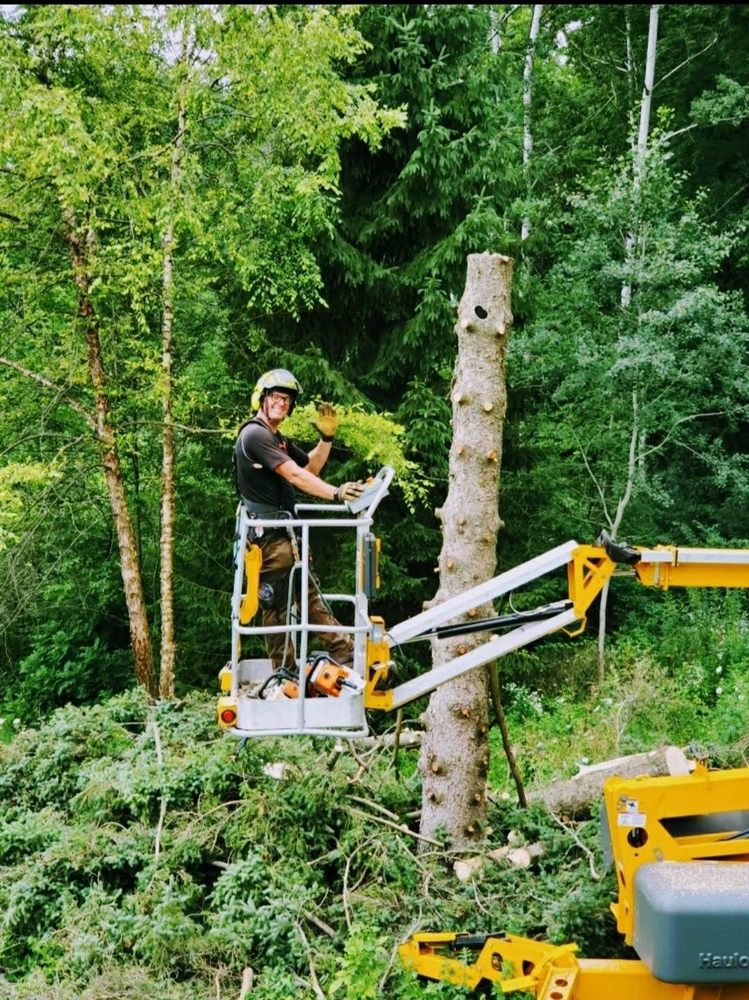 A1 Outdoor Services - tree service in Jackson, WI