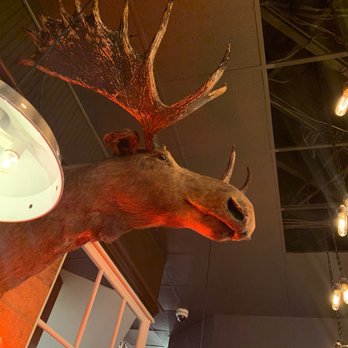 Sharps Roasthouse - Moose head in dining area. He's Happy! - American Near Me - SeaTac, Washington