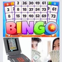 Coastal Bingo