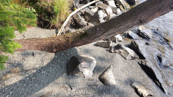 Lily Bay State Park by null